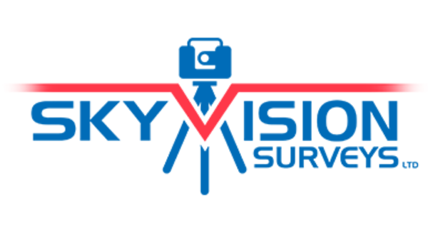 Subvision Surveys