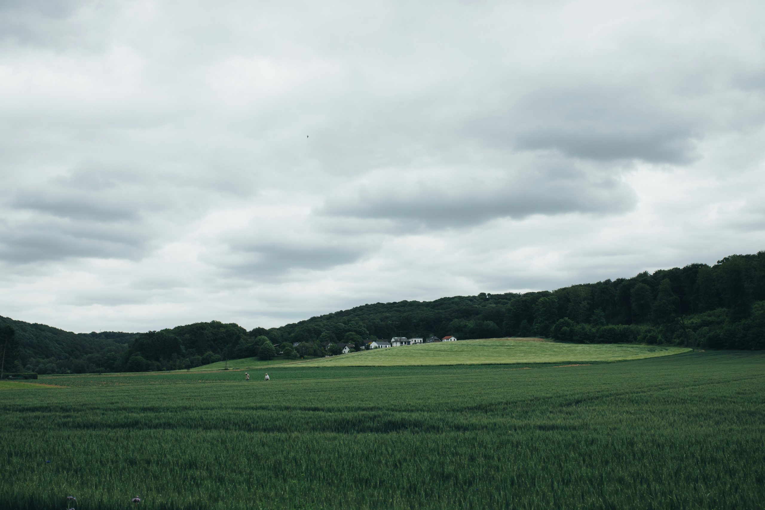 marius-matuschzik-ov64cSWmaJc-unsplash Underground Utility Survey