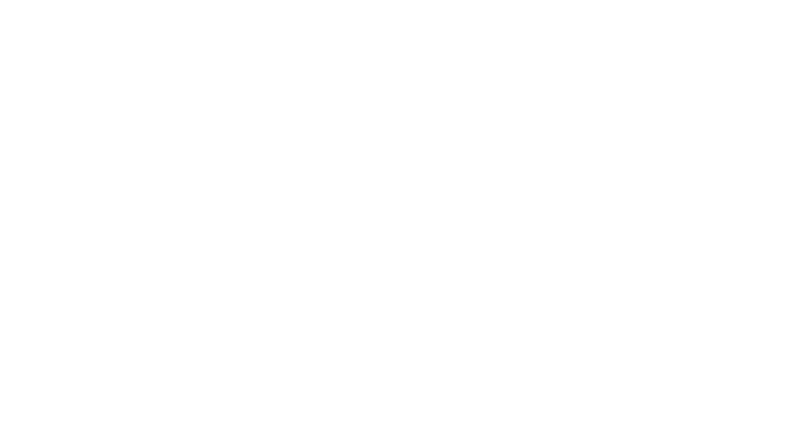 Subvision Surveys